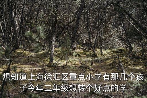 想知道上海徐匯區重點小學有那幾個孩子今年二年級想轉個好點的學