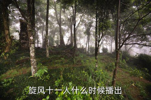 旋風(fēng)十一人電視劇，旋風(fēng)十一人娜扎飾演什么角色第幾集出場