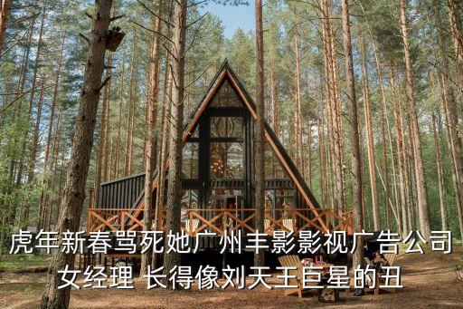 田小野廣州大塘，虎年新春罵死她廣州豐影影視廣告公司女經理 長得像劉天王巨星的丑