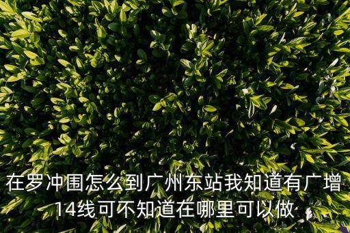 在羅沖圍坐什么車到廣州東站，在羅沖圍怎么到廣州東站我知道有廣增14線可不知道在哪里可以做