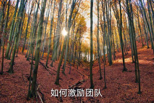 如何激勵團隊