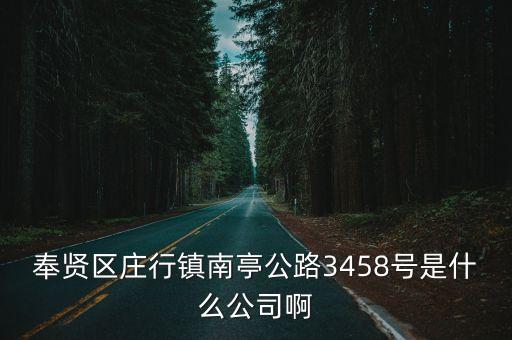 奉賢區莊行鎮南亭公路3458號是什么公司啊