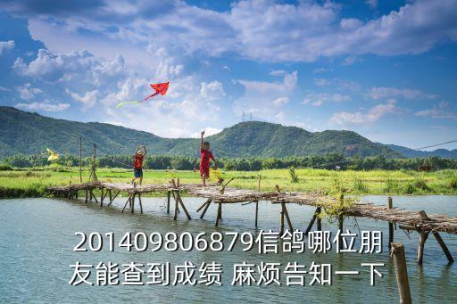201409806879信鴿哪位朋友能查到成績 麻煩告知一下