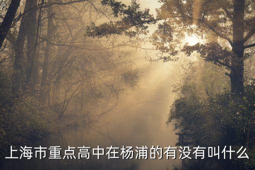 上海市重點高中在楊浦的有沒有叫什么