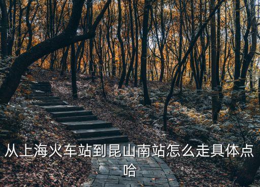 上海市去昆山南站，從上海到昆山南站達乘什么車子要多長時間