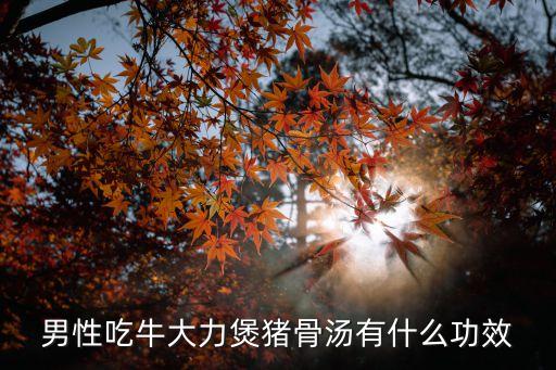 牛大力壯陽，中藥牛大力功效