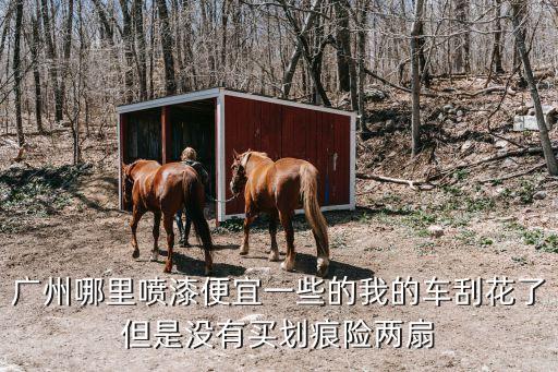 廣州哪里噴漆便宜一些的我的車刮花了但是沒有買劃痕險(xiǎn)兩扇