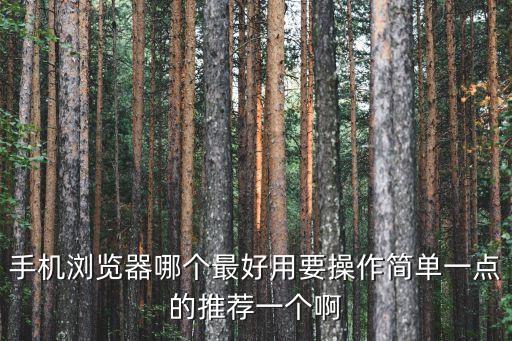 手機瀏覽器排行榜，手機什么瀏覽器最好