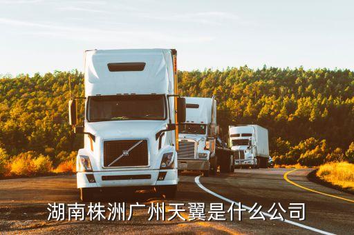 廣州天翼商貿(mào)服飾有限公司，湖南株洲廣州天翼是什么公司