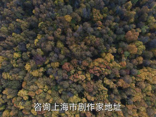 咨詢上海市劇作家地址