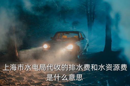 上海市水電局代收的排水費和水資源費是什么意思