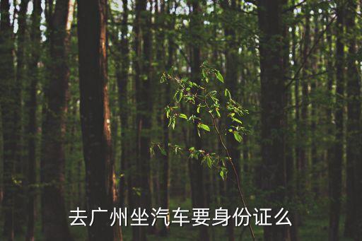 去廣州坐汽車要身份證么