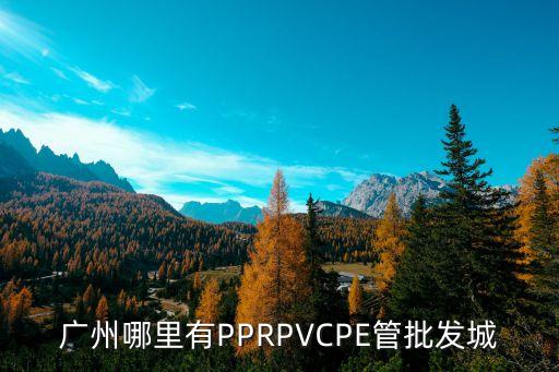 廣州哪里有PPRPVCPE管批發城