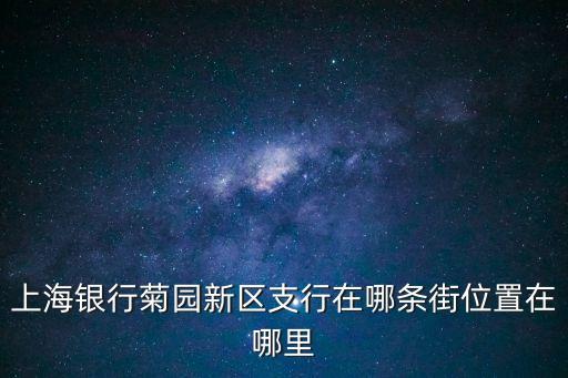 上海市新區(qū)支行，上海銀行菊?qǐng)@新區(qū)支行在哪條街位置在哪里