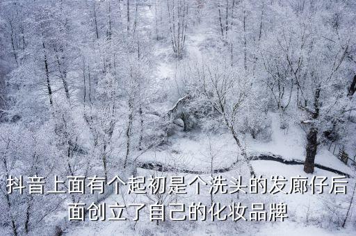 抖音上面有個起初是個洗頭的發廊仔后面創立了自己的化妝品牌