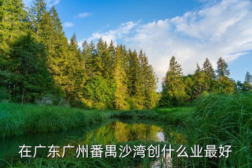 廣州沙灣前景，番禺區(qū)沙灣鎮(zhèn)有地鐵或輕軌站點(diǎn)規(guī)劃嗎