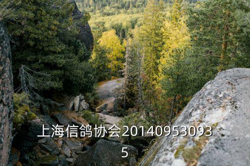 上海信鴿協會201409530935