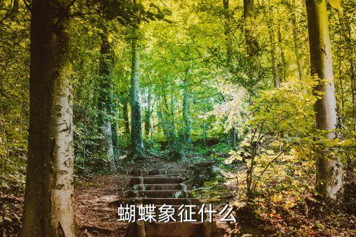 蝴蝶象征什么