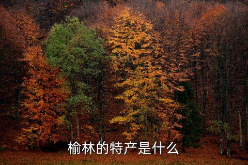 榆林特產，榆林的特產是什么