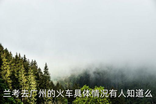 廣州到蘭考高鐵多久，誰(shuí)知道廣州至蘭考的火車(chē)有幾次票價(jià)多少在此謝過(guò)