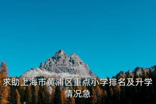 求助上海市黃浦區(qū)重點小學(xué)排名及升學(xué)情況急