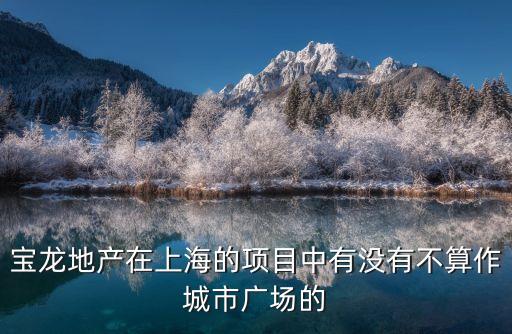 上海市寶龍廣場屬于什么用途，寶龍廣場 or 龍寶廣場規劃