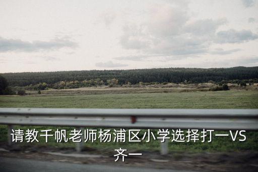 上海市楊浦區本溪路對口小學，上海楊浦區的學校