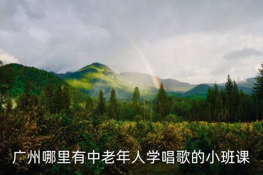 廣州哪里有中老年人學(xué)唱歌的小班課