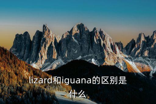 鬣鱗蜥，鬣鱗蜥怎么讀