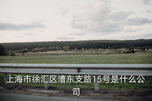 上海市徐匯區漕東支路15號是什么公司