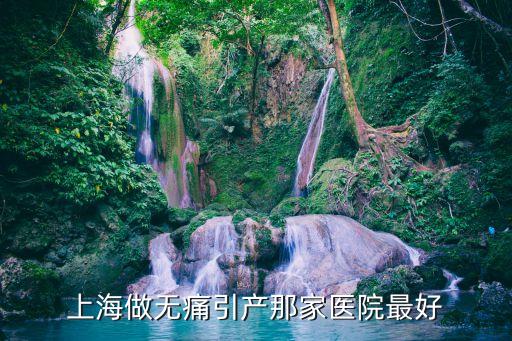 上海市無痛引產(chǎn)醫(yī)院，上海較好的無痛引產(chǎn)醫(yī)院是哪家