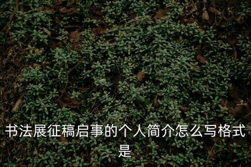 書法展征稿啟事的個人簡介怎么寫格式是
