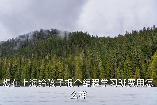 上海市 小學(xué)生電腦編程 課程，求推薦上海少兒編程培訓(xùn)班哪家比較好