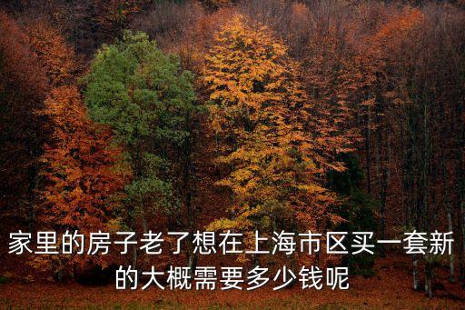 家里的房子老了想在上海市區買一套新的大概需要多少錢呢