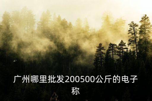 廣州優質地磅采購，廣州哪里批發200500公斤的電子稱