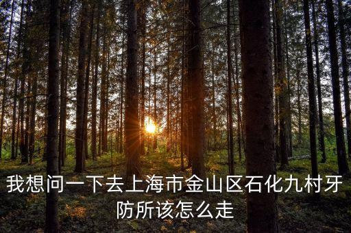 從金山到上海市口腔病防治院，我想問一下去上海市金山區(qū)石化九村牙防所該怎么走