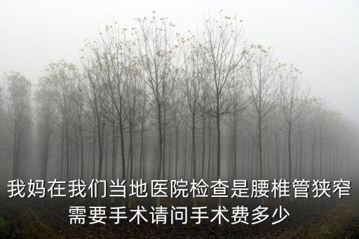 我媽在我們當(dāng)?shù)蒯t(yī)院檢查是腰椎管狹窄需要手術(shù)請問手術(shù)費多少
