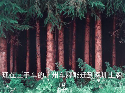 現在二手車的廣州車牌能遷到深圳上牌嗎