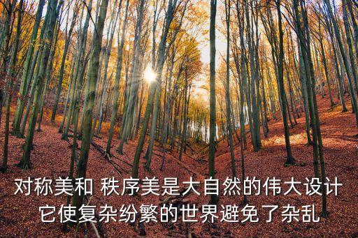 秩序美，對稱美和 秩序美是大自然的偉大設計它使復雜紛繁的世界避免了雜亂