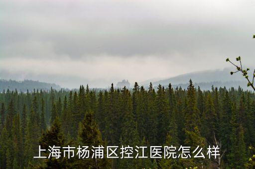上海市第一康復醫(yī)院控江分院，上海市控江醫(yī)院幾路公交車能到