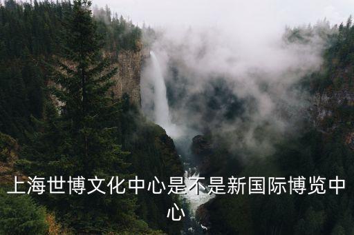 上海世博文化中心是不是新國際博覽中心