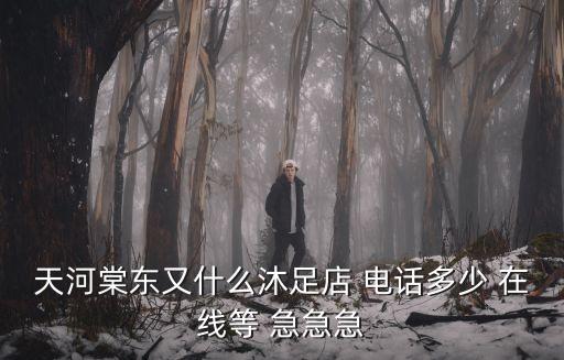 廣州棠東哪些會所正規，天河棠東又什么沐足店 電話多少 在線等 急急急