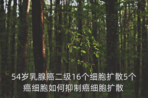 上海市徐家匯和平醫院乳腺科醫生，和平醫院劉小樂大夫看病看的好嗎