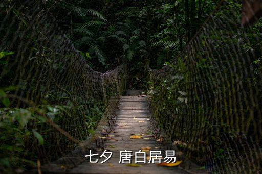 七夕古詩白居易，七夕 唐白居易