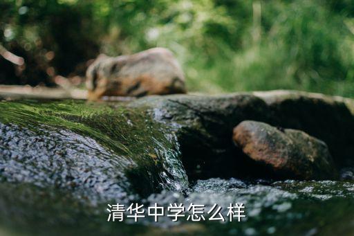 上海市清華中學(xué)學(xué)風(fēng)差，清華中學(xué)怎么樣