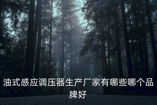 油式感應(yīng)調(diào)壓器生產(chǎn)廠家有哪些哪個(gè)品牌好