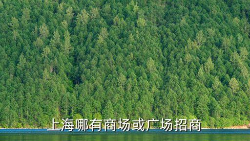 上海哪有商場或廣場招商