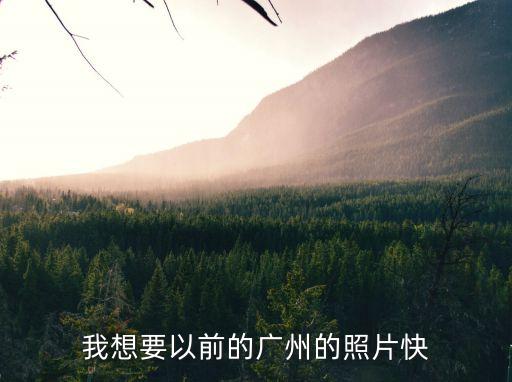 廣州老城區棚戶區圖片，廣州60年衣食住行變遷的照片和故事