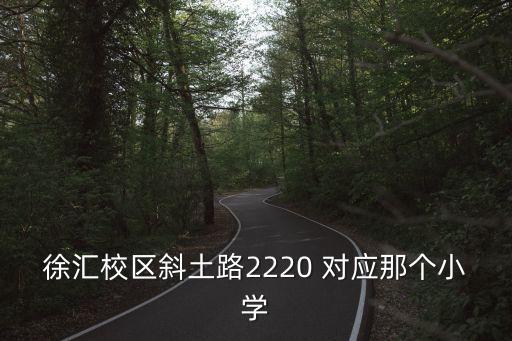 徐匯校區(qū)斜土路2220 對應(yīng)那個小學(xué)