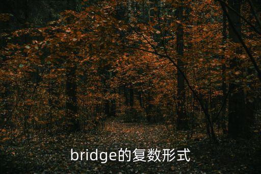 bridge的復(fù)數(shù)形式